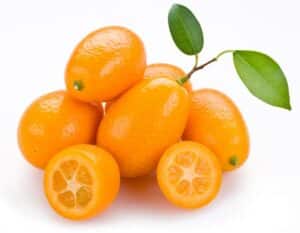 Agrumi kumquat