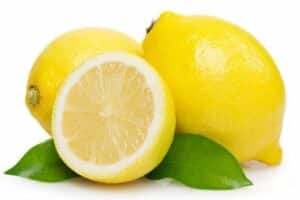 Coltivazione limone