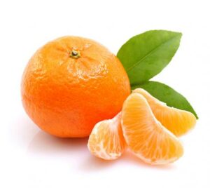 Coltivazione mandarino