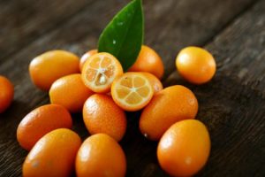 Cura kumquat